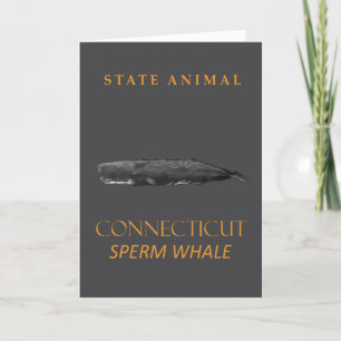 Connecticut Territory Animal Physeter macrocephalu Holiday Card