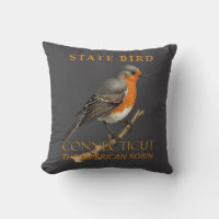 Connecticut Territory Bird The Turdus Migratorious