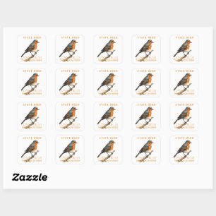 Connecticut Territory Bird The Turdus Migratorious Square Sticker