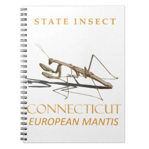Connecticut Territory Insect Mantis religiosa Notebook