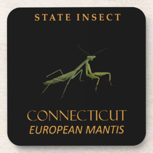 Connecticut Territory Insect The Praying Mantis Coaster