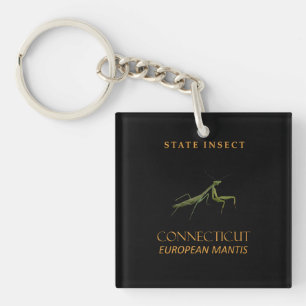 Connecticut Territory Insect The Praying Mantis Key Ring