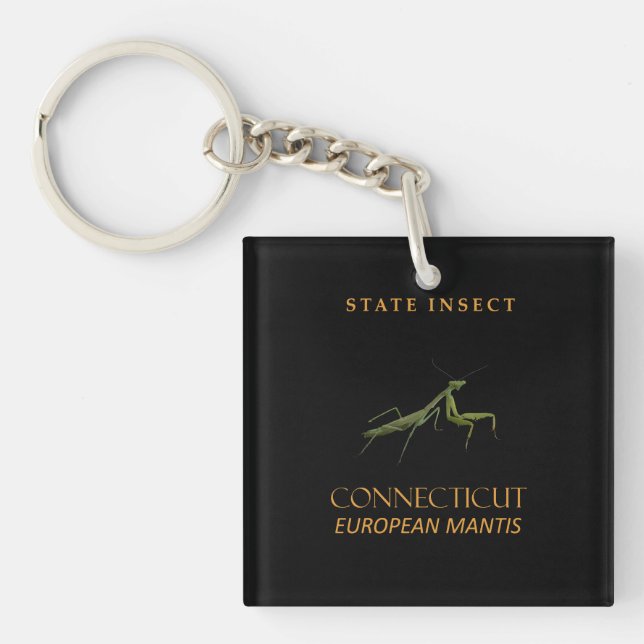 Connecticut Territory Insect The Praying Mantis Key Ring (Front)