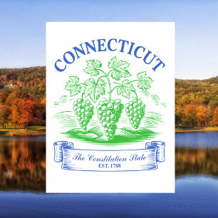 Connecticut The Constitution State Est. 1788 Postcard
