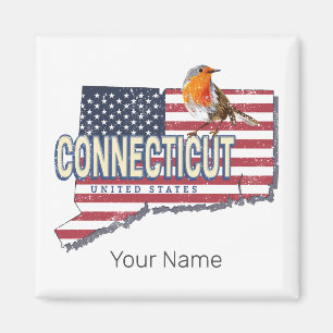 Connecticut united states retro state map vintage magnet