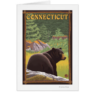 ConnecticutBlack Bear in Forest