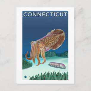 ConnecticutCuttlefish Scene Postcard