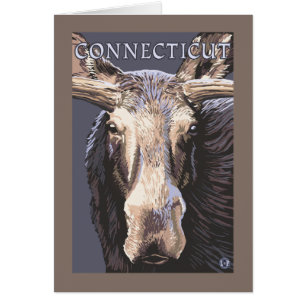 ConnecticutMoose Up Close