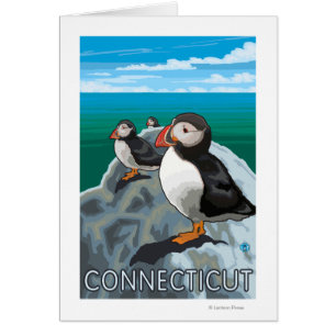 ConnecticutPuffins Scene