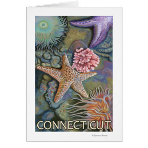 ConnecticutTidepool Scene
