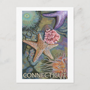 ConnecticutTidepool Scene Postcard