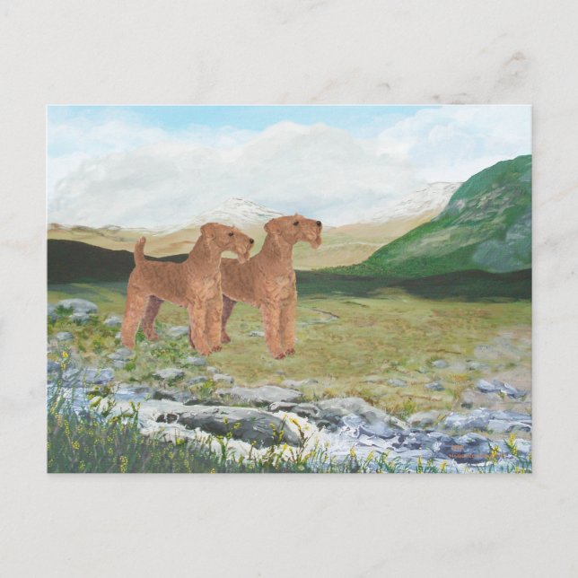 Connemara Countryside Postcard (Front)