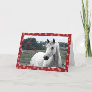 Connemara Pony Christmas Card