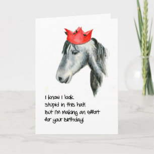 Connemara Pony Humorous Birthday Card