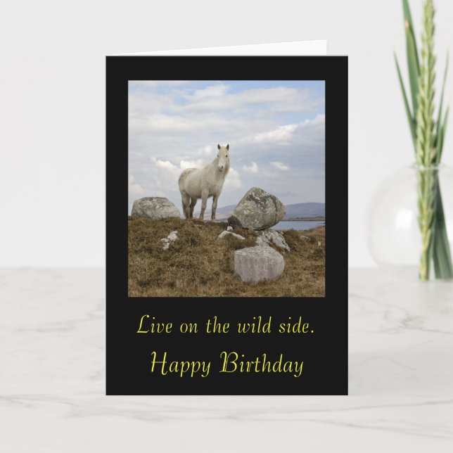 Connemara Pony, Live on the wild side. , Happy ... Card (Front)