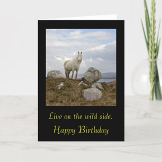 Connemara Pony, Live on the wild side. , Happy ... Card