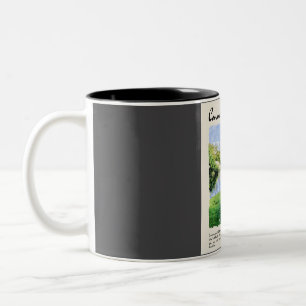 Connemara Vintage Watercolour Travel Two-Tone Coffee Mug