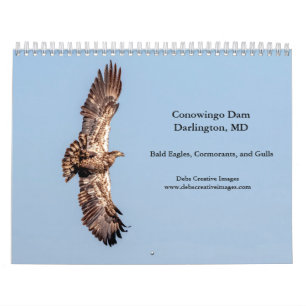 Conowingo Dam 2026 Calendar