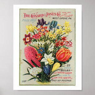 Conrad & Jones 1897 Rose and Plant Growers Poster