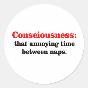 Consciousness Classic Round Sticker