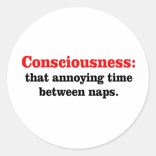 Consciousness Classic Round Sticker (Front)
