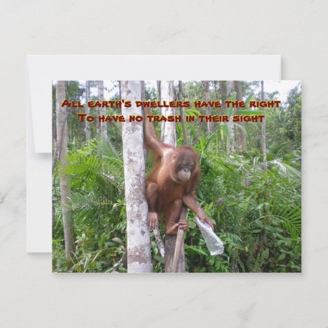 Conservation, No Plastic Pollution Card (Front)