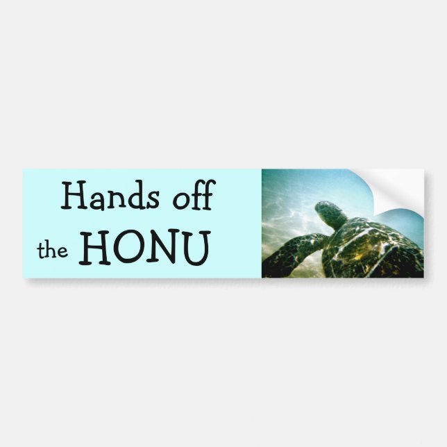 Conservation: Save the Sea Turtle Bumper Sticker (Front)