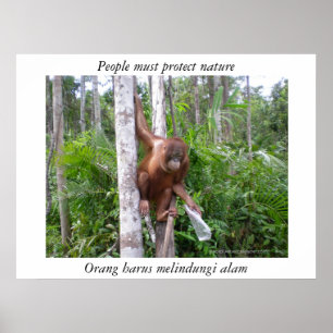 Conserve Nature Wildlife Poster