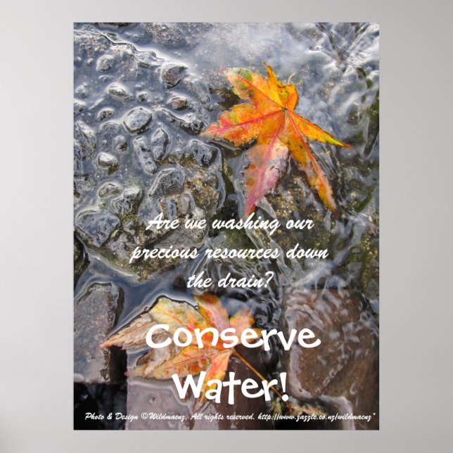 Conserve Water! Poster (Front)