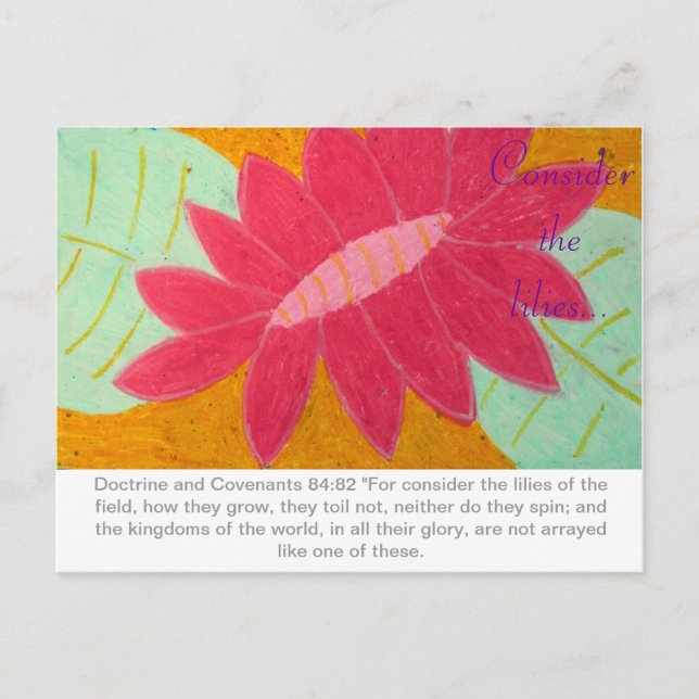 Consider the Lilies D&C postcard (Front)