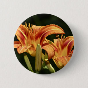 Consider The Lilies Of The Field 6 Cm Round Badge