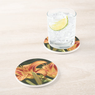 Consider The Lilies Of The Field Coaster
