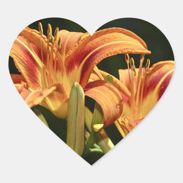 Consider The Lilies Of The Field Heart Sticker (Front)