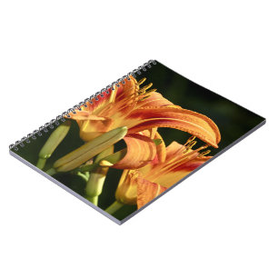 Consider The Lilies Of The Field Notebook