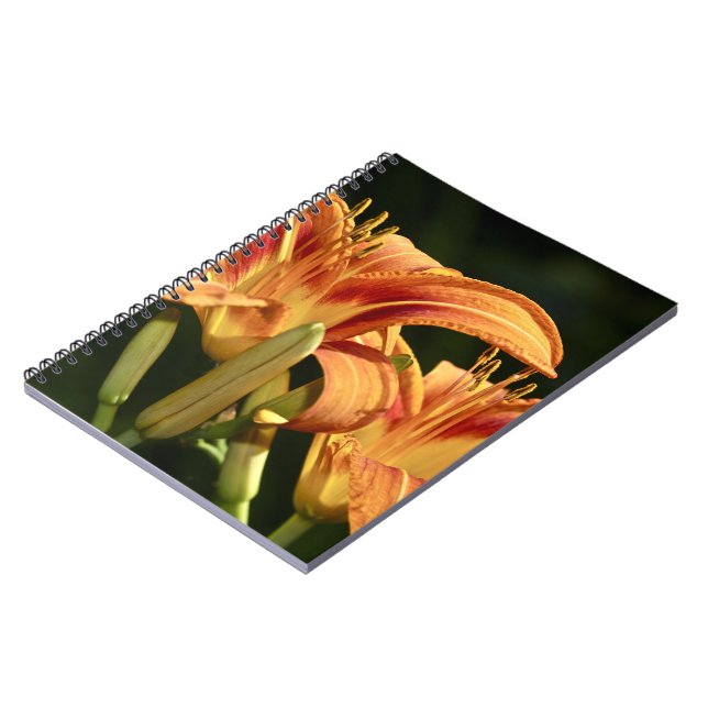 Consider The Lilies Of The Field Notebook (Left Side)