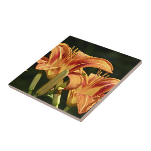 Consider The Lilies Of The Field Tile