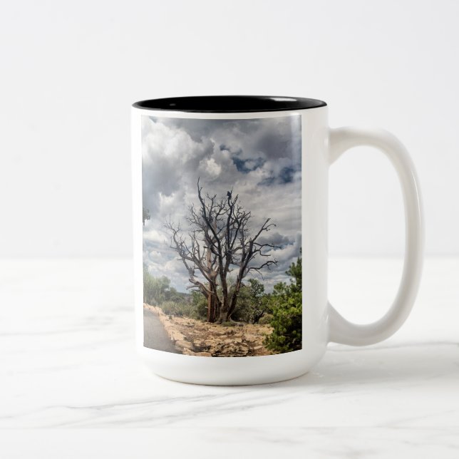 Consider the Ravens Mug (Right)