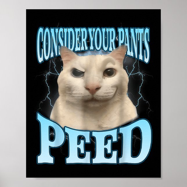 Consider Your Pants Peed Funny Freak Cat Meme Humo Poster (Front)
