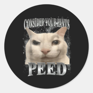 Consider Your Pants Peed Silly Cat  Classic Round Sticker