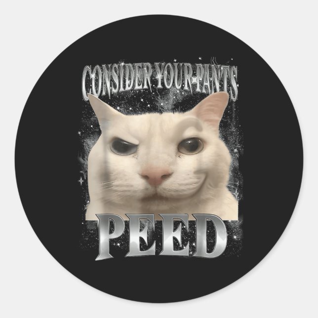 Consider Your Pants Peed Silly Cat  Classic Round Sticker (Front)
