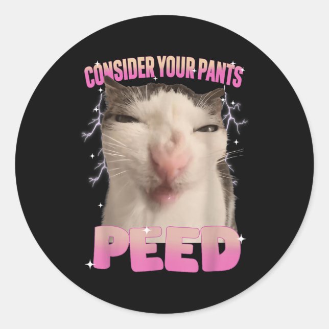 Consider Your Pants Peed Silly Cat Meme Funny Men  Classic Round Sticker (Front)