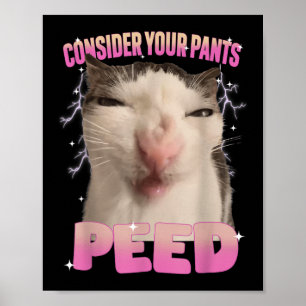 Consider Your Pants Peed Silly Cat Meme Funny Men  Poster