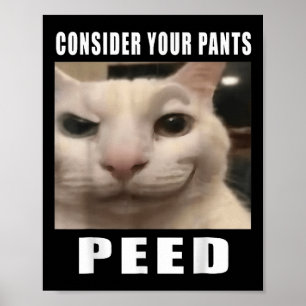 Consider Your Pants Peed Silly Cat Meme Men Women  Poster
