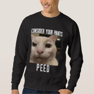Consider Your Pants Peed Weird Cat Meme Funny Meme Sweatshirt