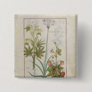 Consiligo, Burreed and Strawberry 15 Cm Square Badge