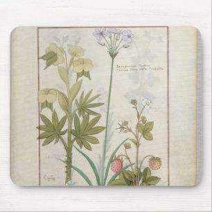 Consiligo, Burreed and Strawberry Mouse Pad