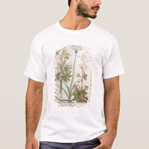 Consiligo, Burreed and Strawberry T-Shirt