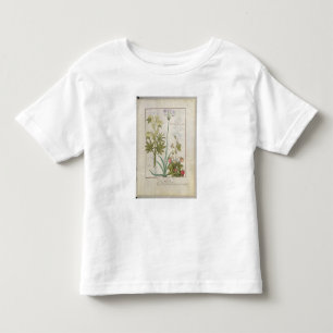 Consiligo, Burreed and Strawberry Toddler T-Shirt