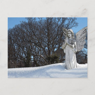 Consoling Angel • Sunshine Postcard