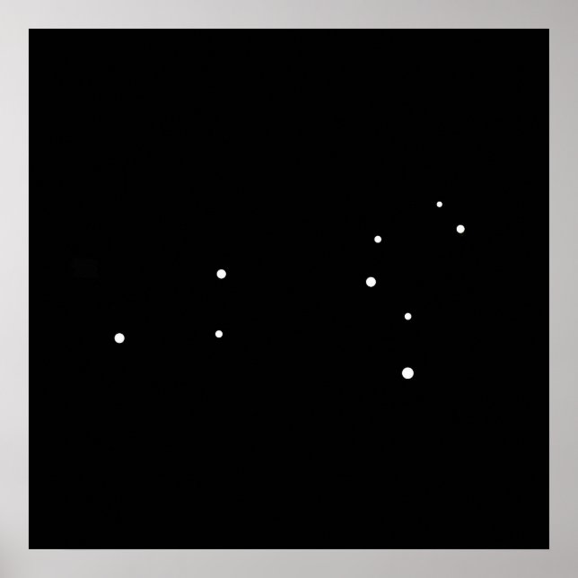 Constellation Leo by Leslie Peppers Poster (Front)